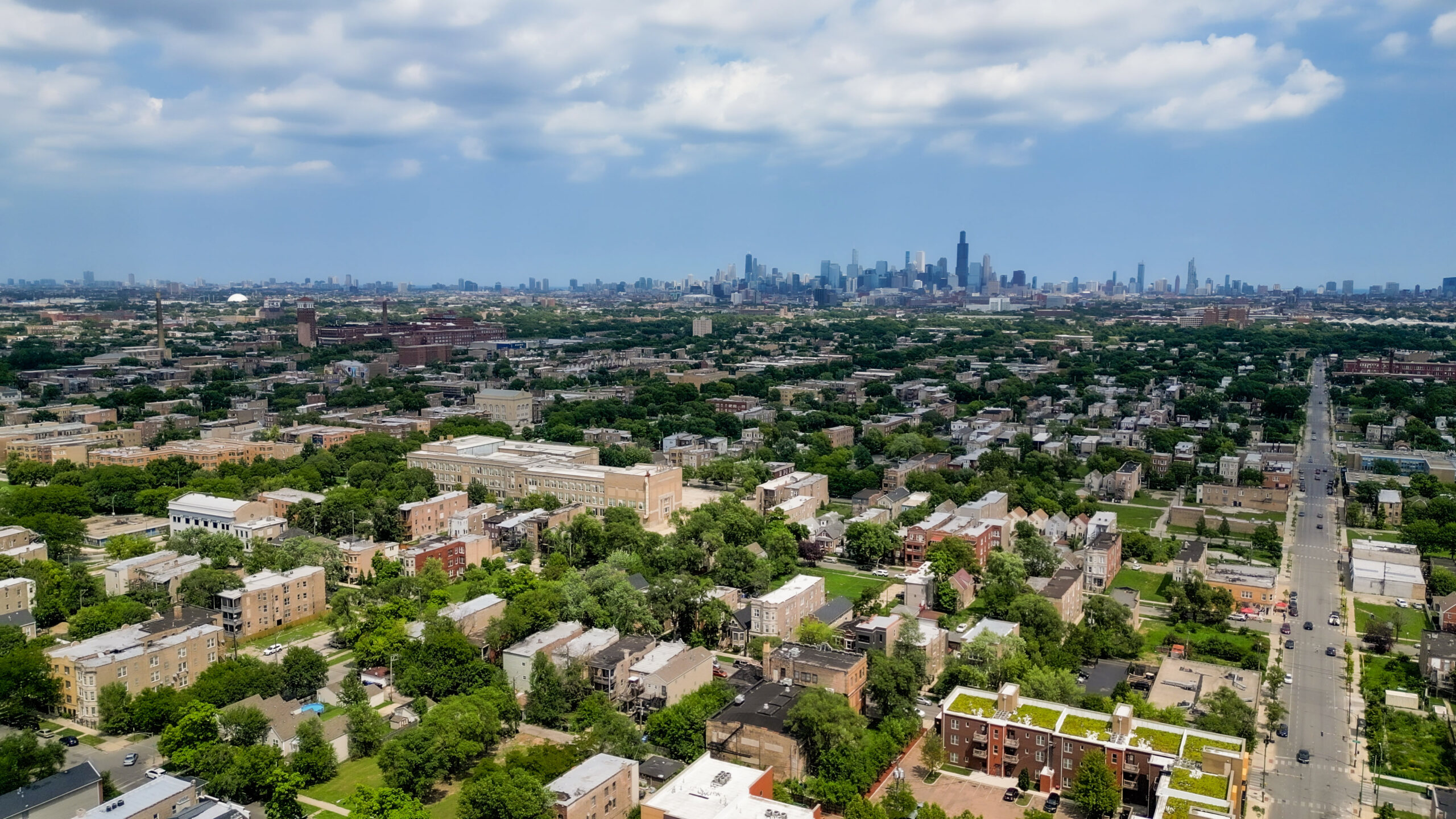 Chicago Region Trees Initiative Opens Applications For Urban Forestry