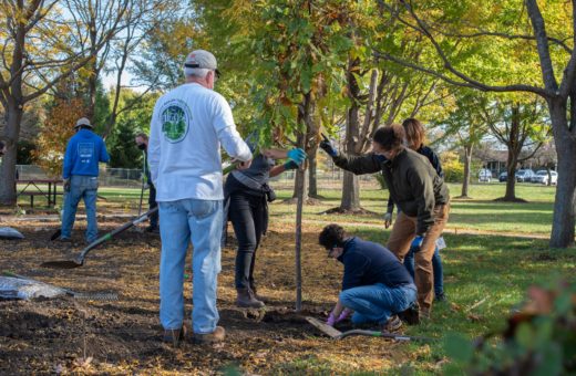 CRTI volunteer and staff planting a tree with corporate partners