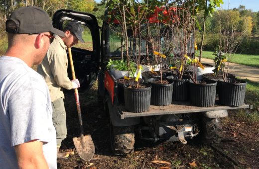 The Morton Arboretum