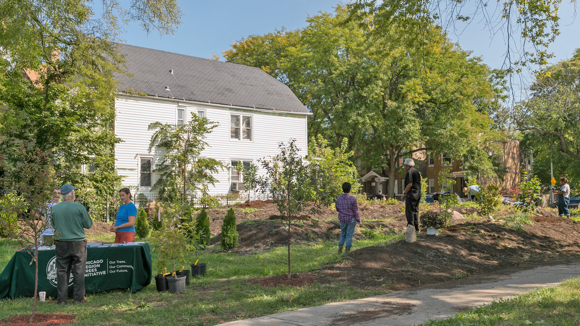 Trees being planted in a neighborhood