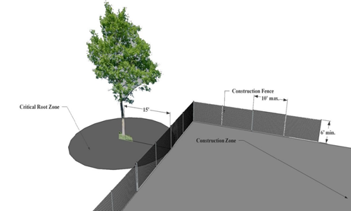 Example of construction fence separating “Construction Zone” from protected tree