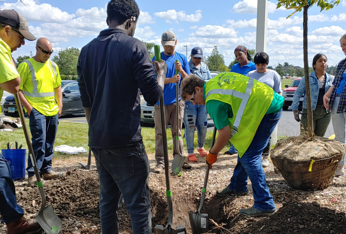 The Morton Arboretum